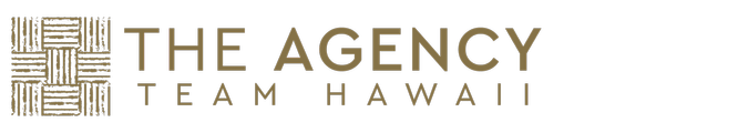 The Agency Team